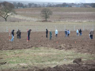 Figure 1 - Students fieldwalking (Roman coin hoard not shown) (Image copyright - Mark Simpson)